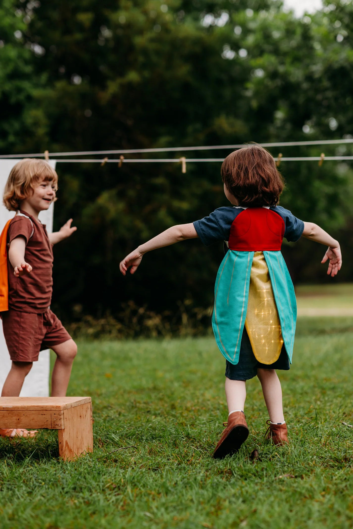 Firefly Costume Wings image 2