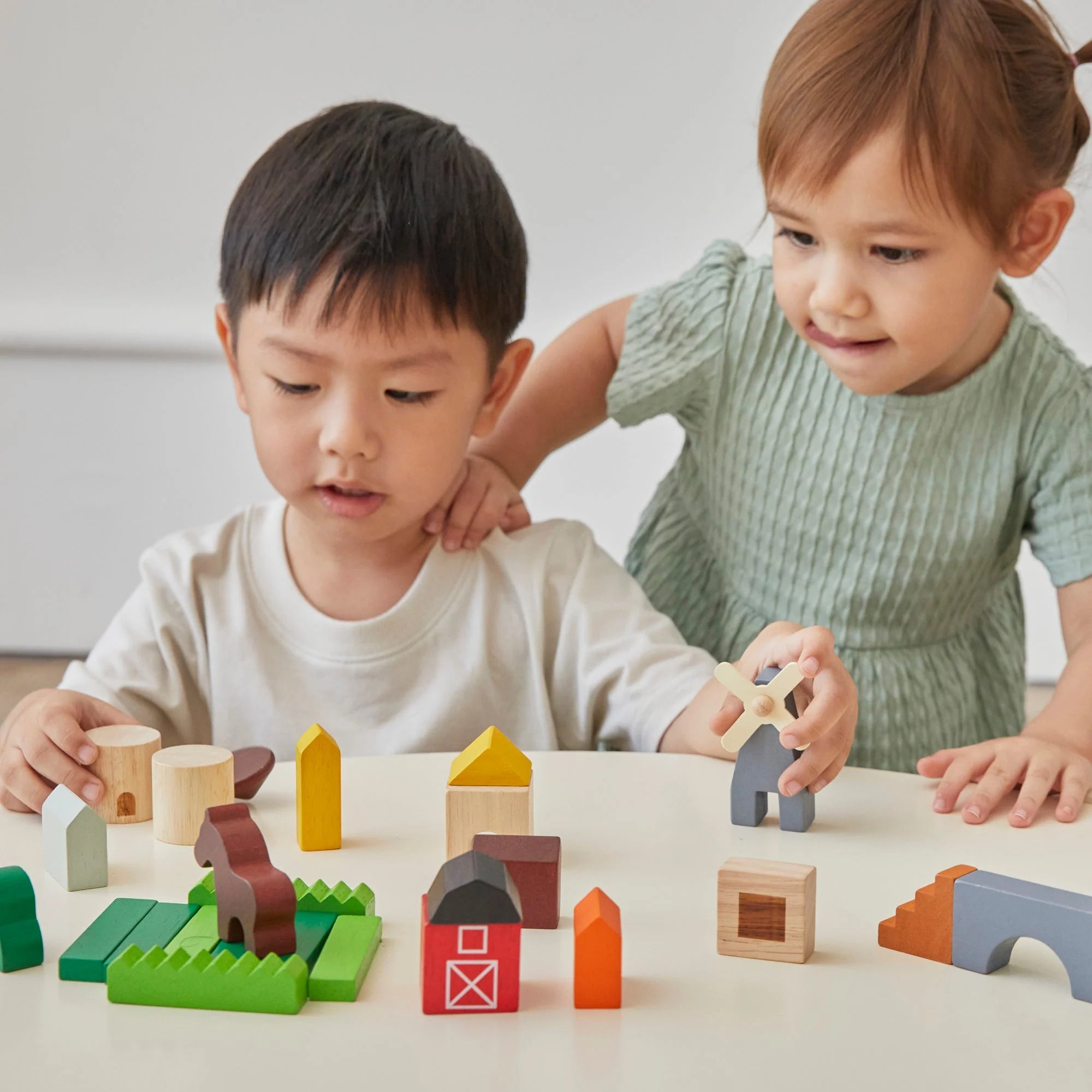 Country Blocks Set | Wooden Toy image 5