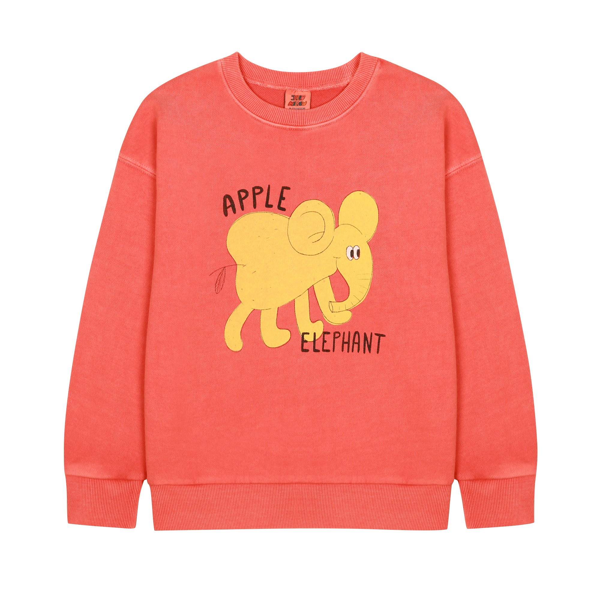 Elephant Pigment Sweatshirt