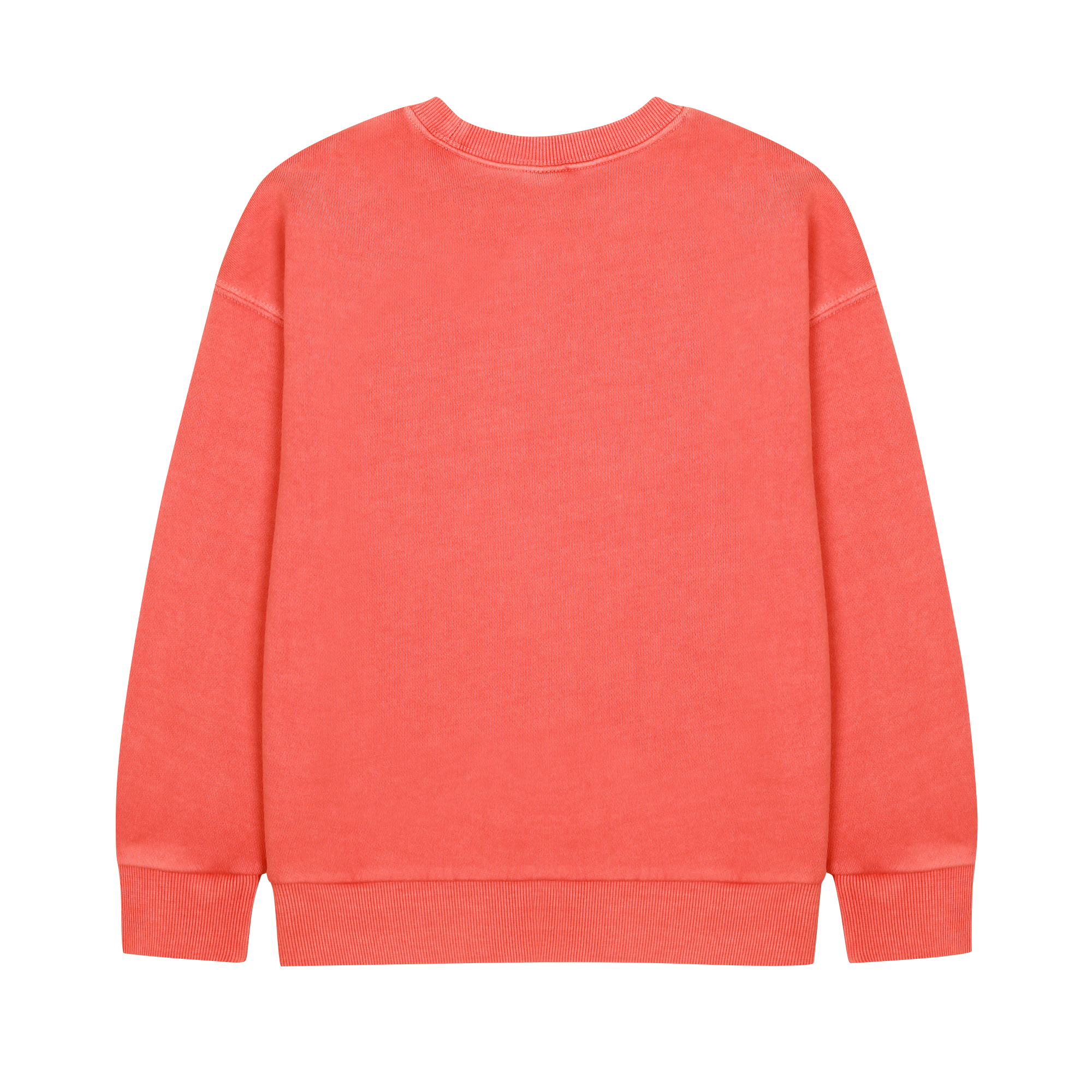 Elephant Pigment Sweatshirt