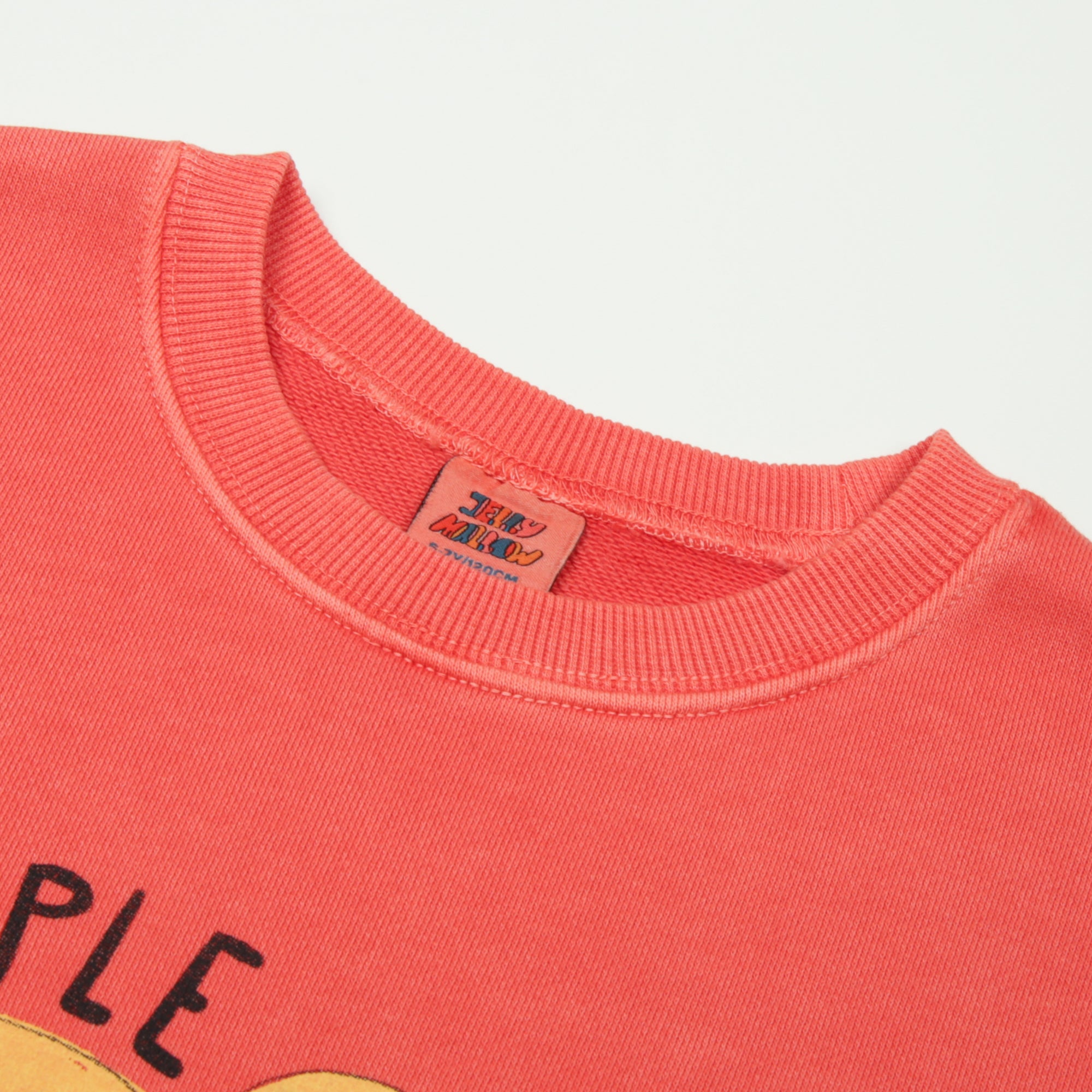 Elephant Pigment Sweatshirt