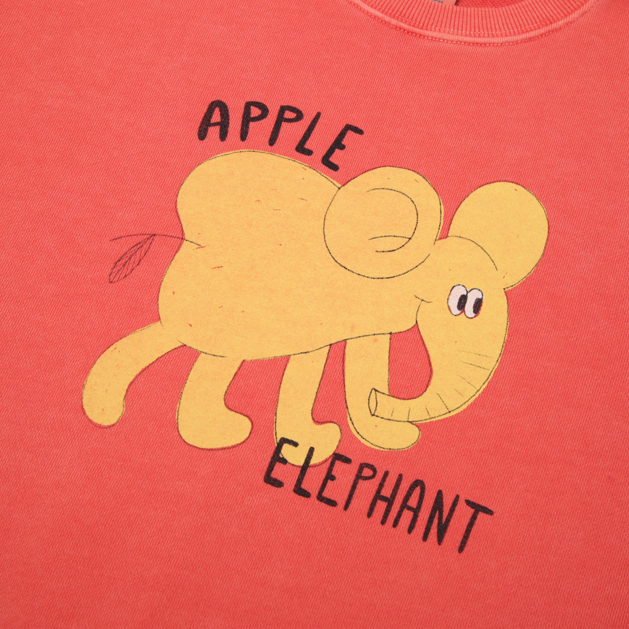 Elephant Pigment Sweatshirt