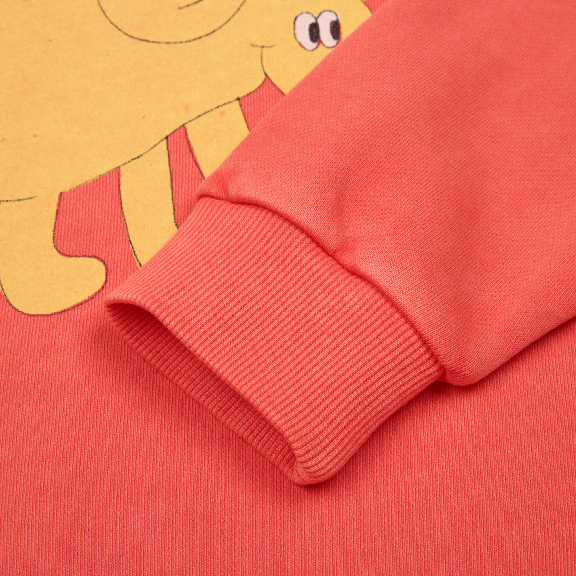 Elephant Pigment Sweatshirt