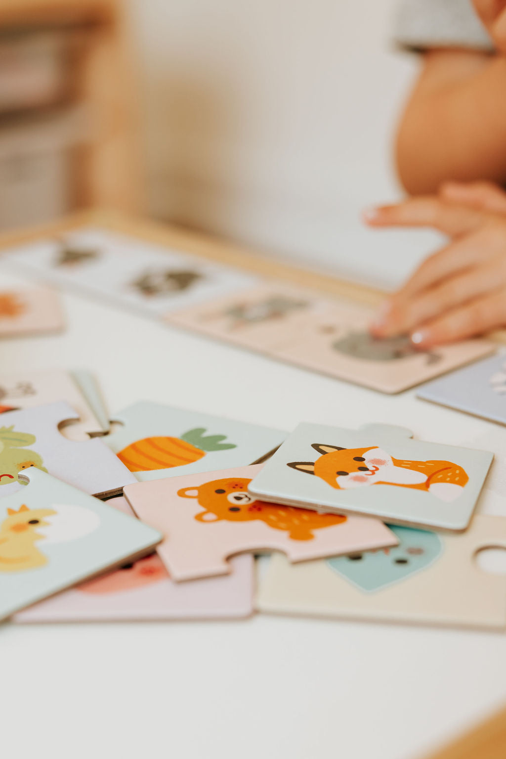 Puzzle Duo Colours Game