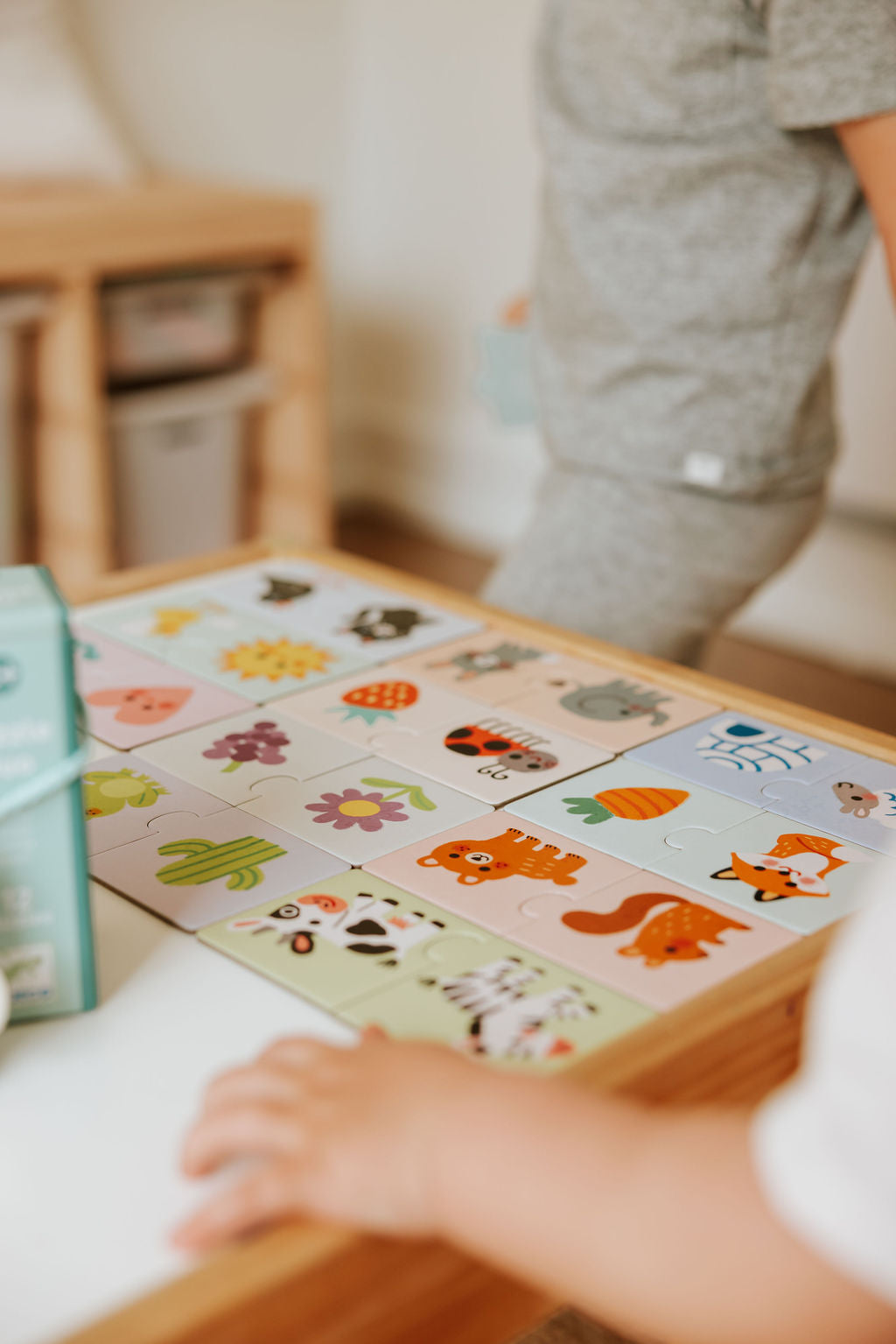 Puzzle Duo Colours Game