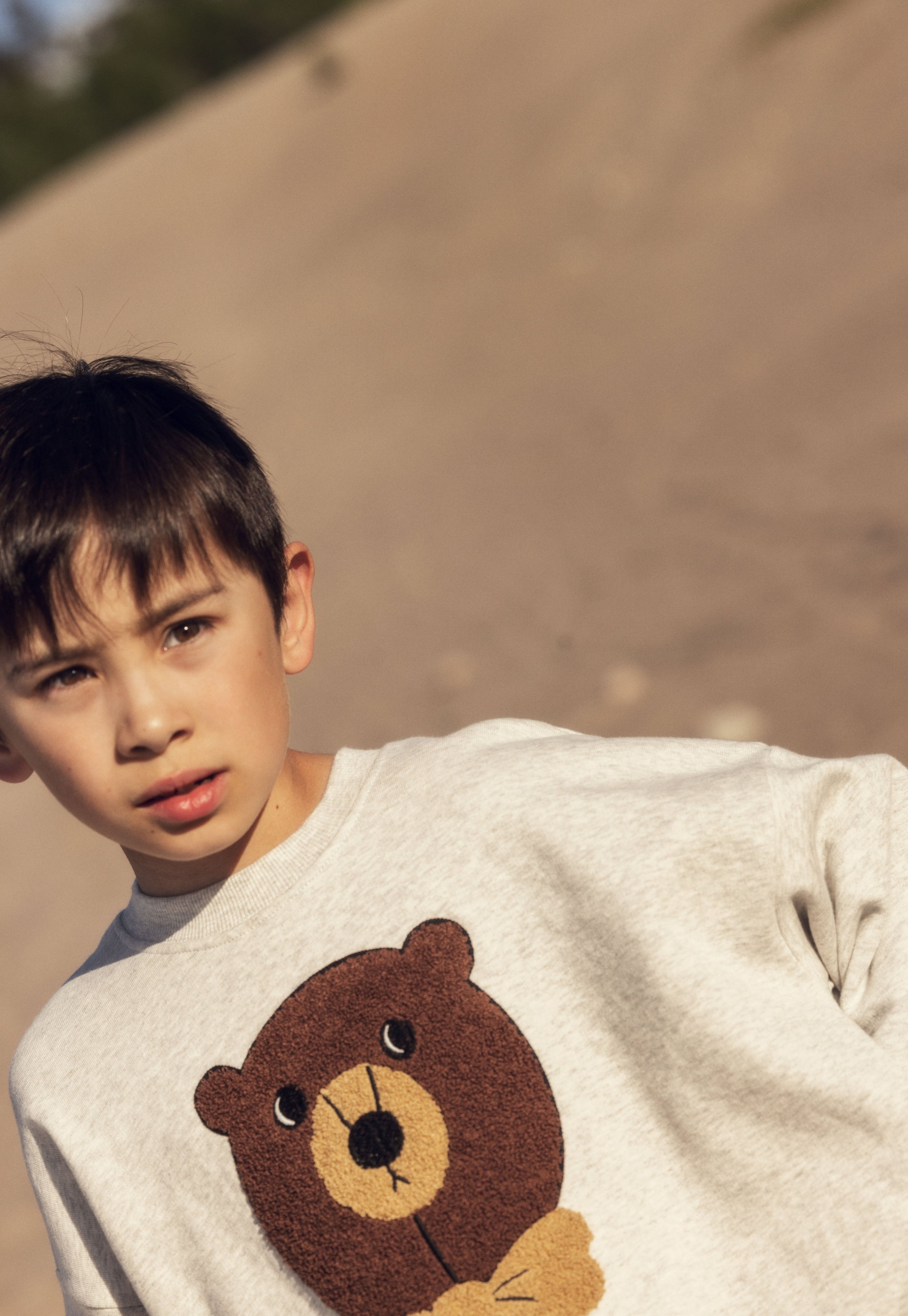 Bear Chenille Sweatshirt image 6