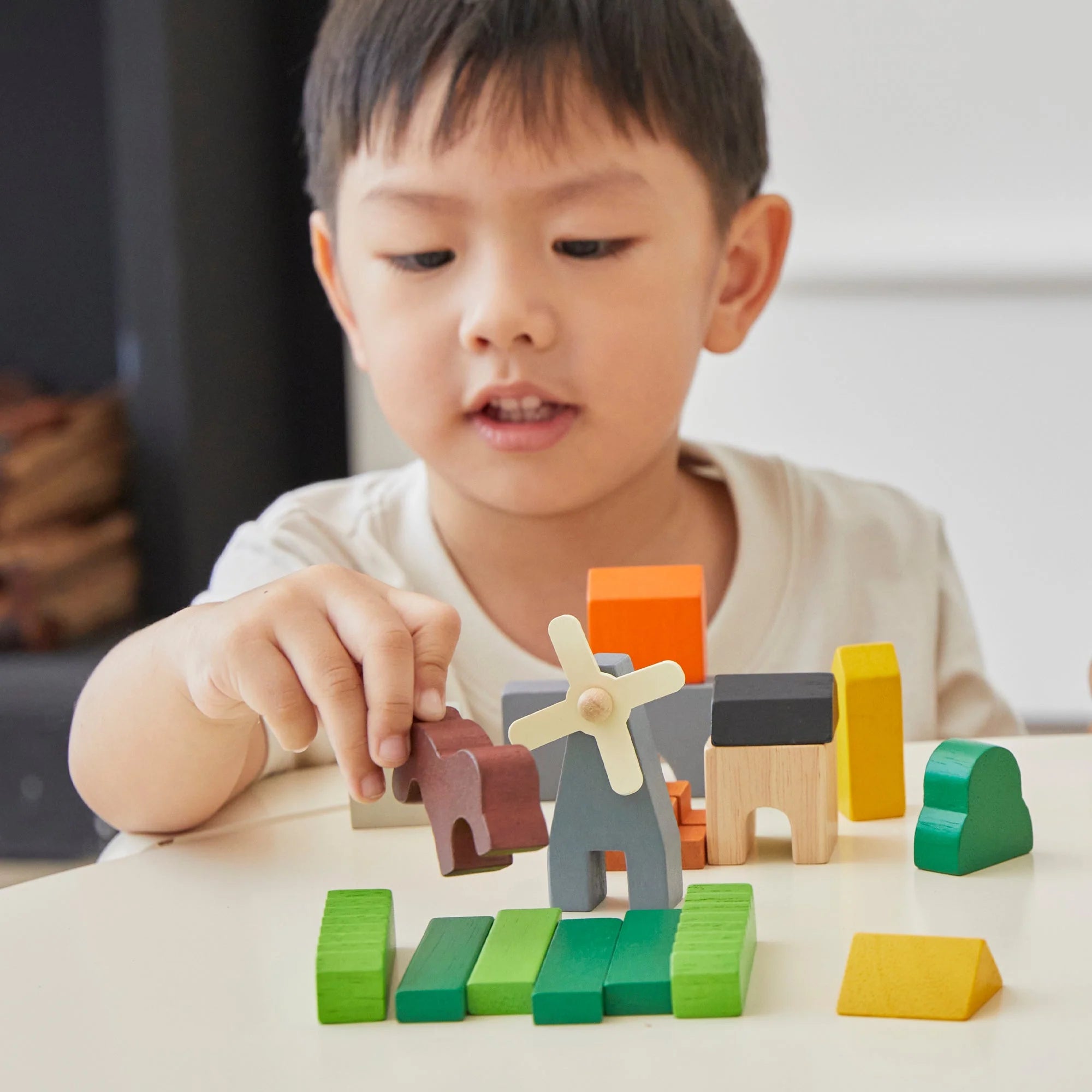 Country Blocks Set | Wooden Toy image 9