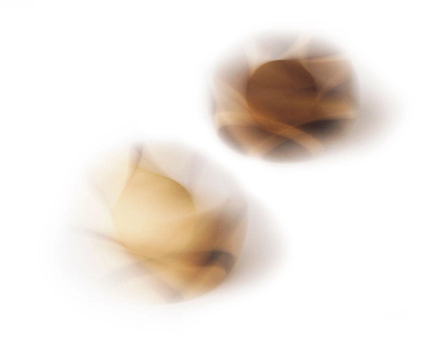 Naef Spining Tip (2 Pcs. Maple/ Walnut)