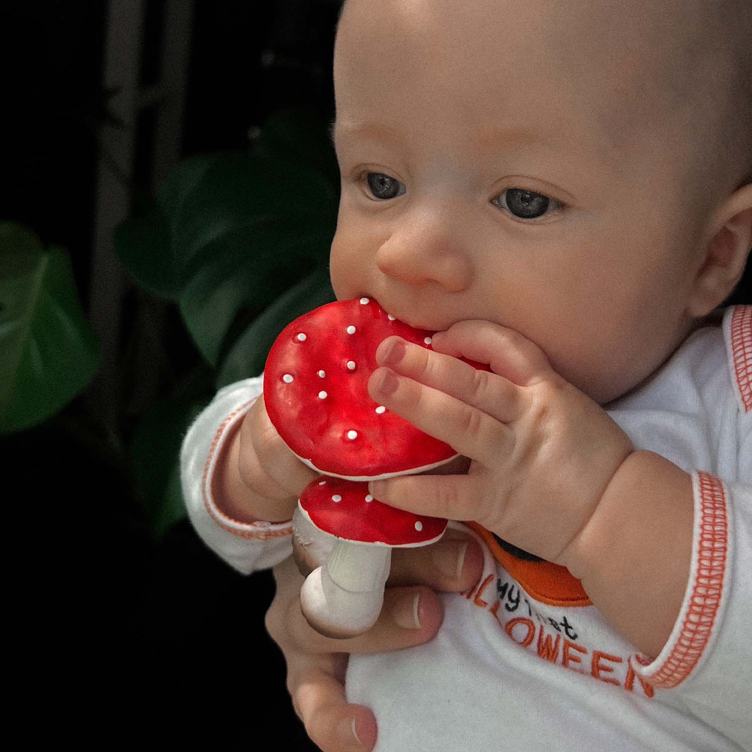 Mushroom Natural Rubber Baby Teether