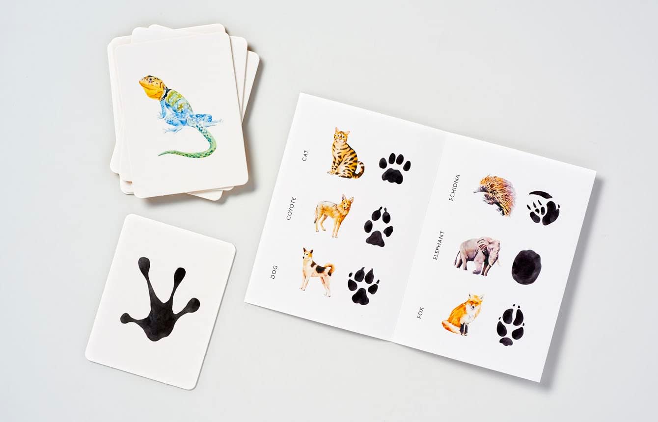 Animals to Their Paw Prints Match Memory Game