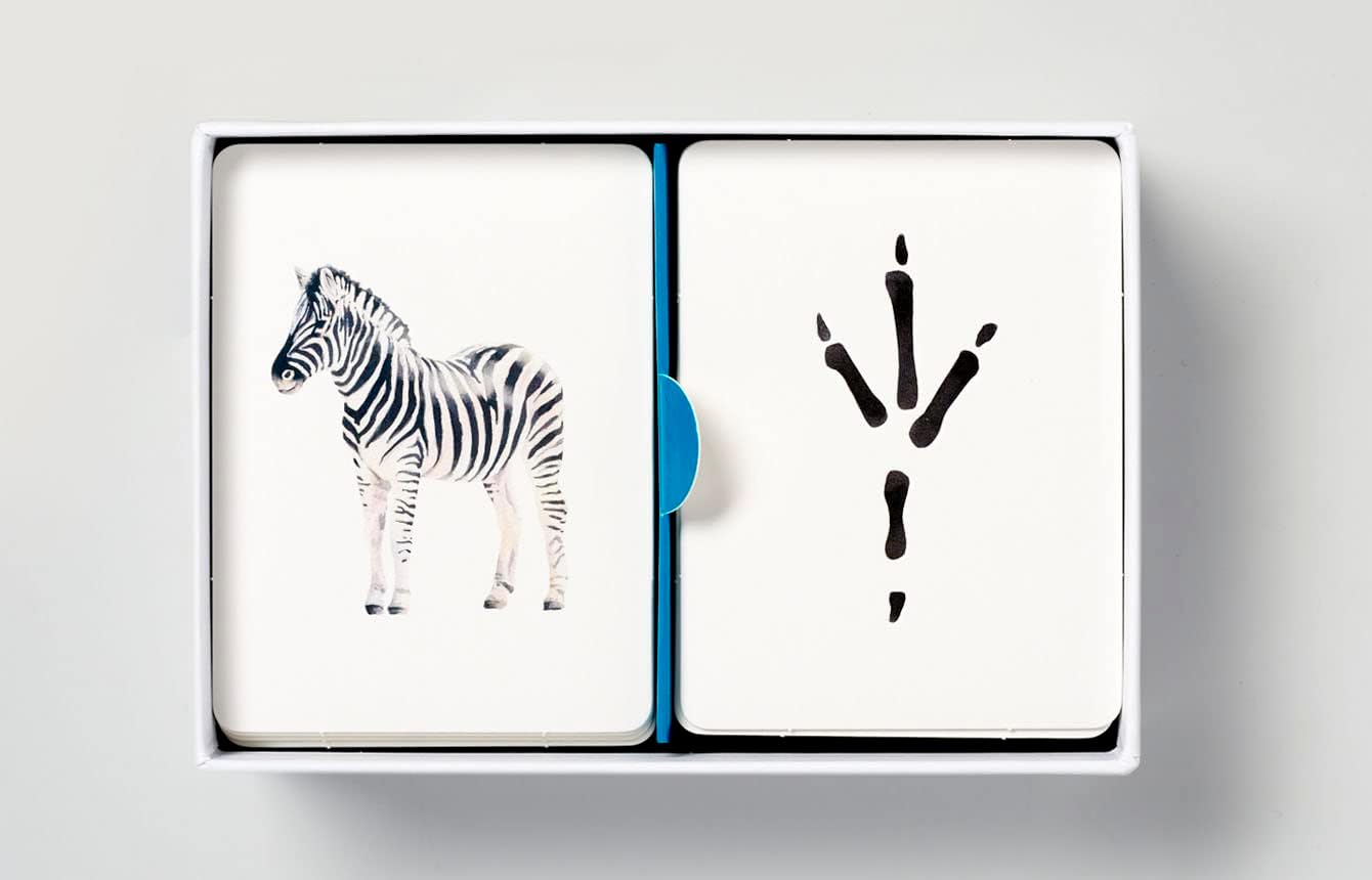 Animals to Their Paw Prints Match Memory Game