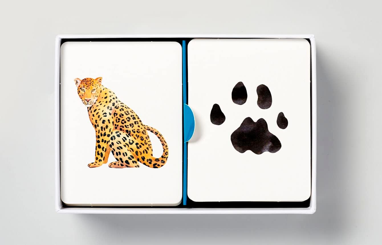 Animals to Their Paw Prints Match Memory Game