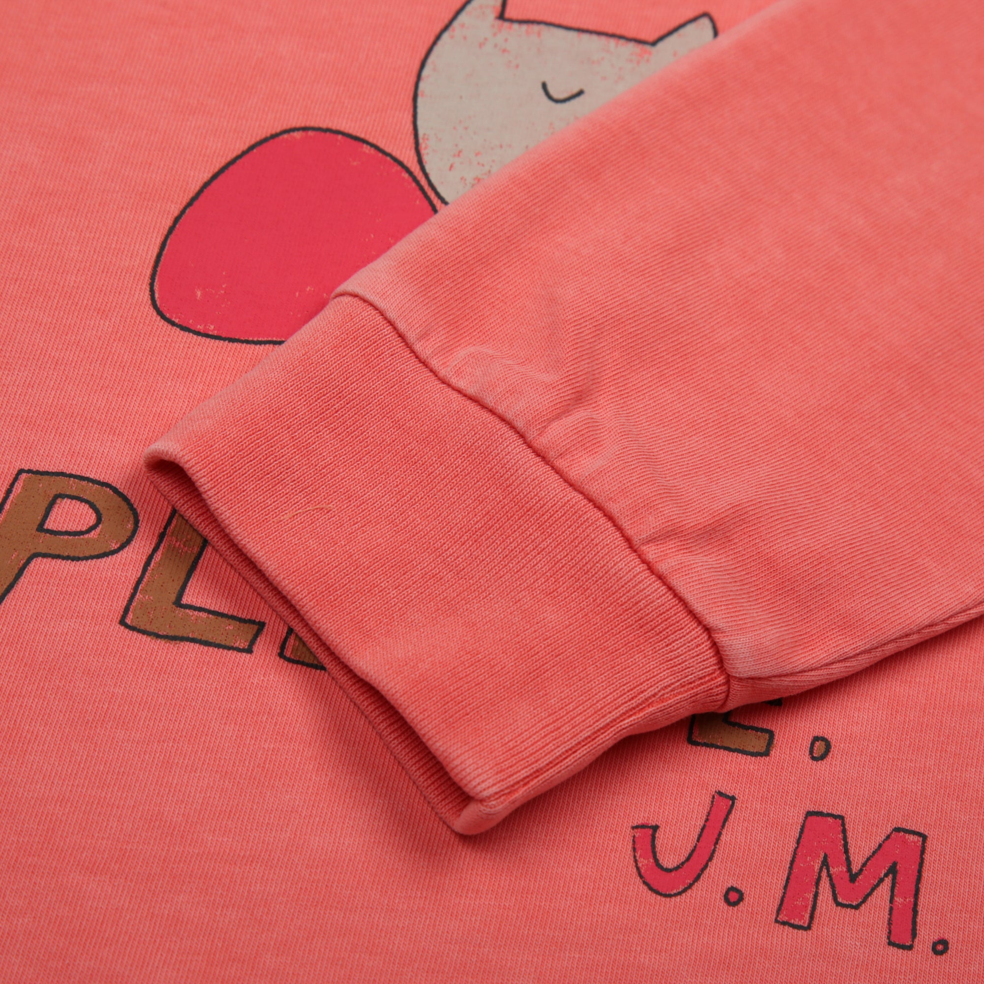 Fox Pigment Long sleeve T-shirt