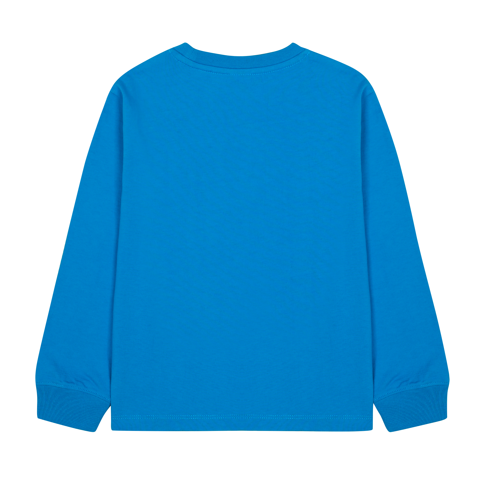 Vegetable Long sleeve T-shirt