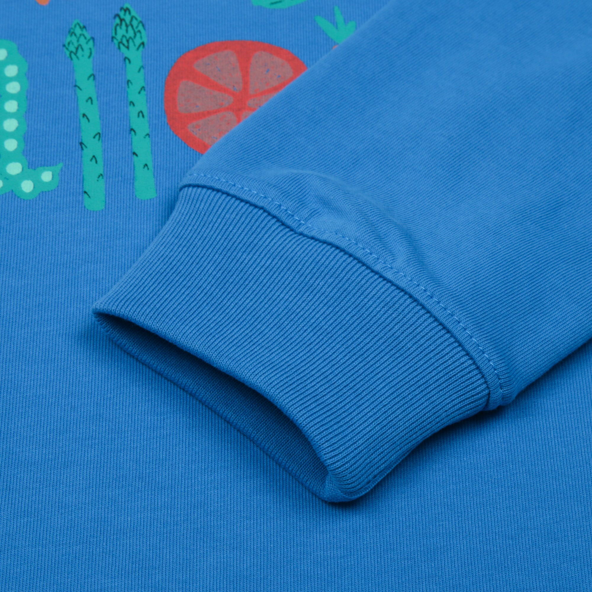 Vegetable Long sleeve T-shirt