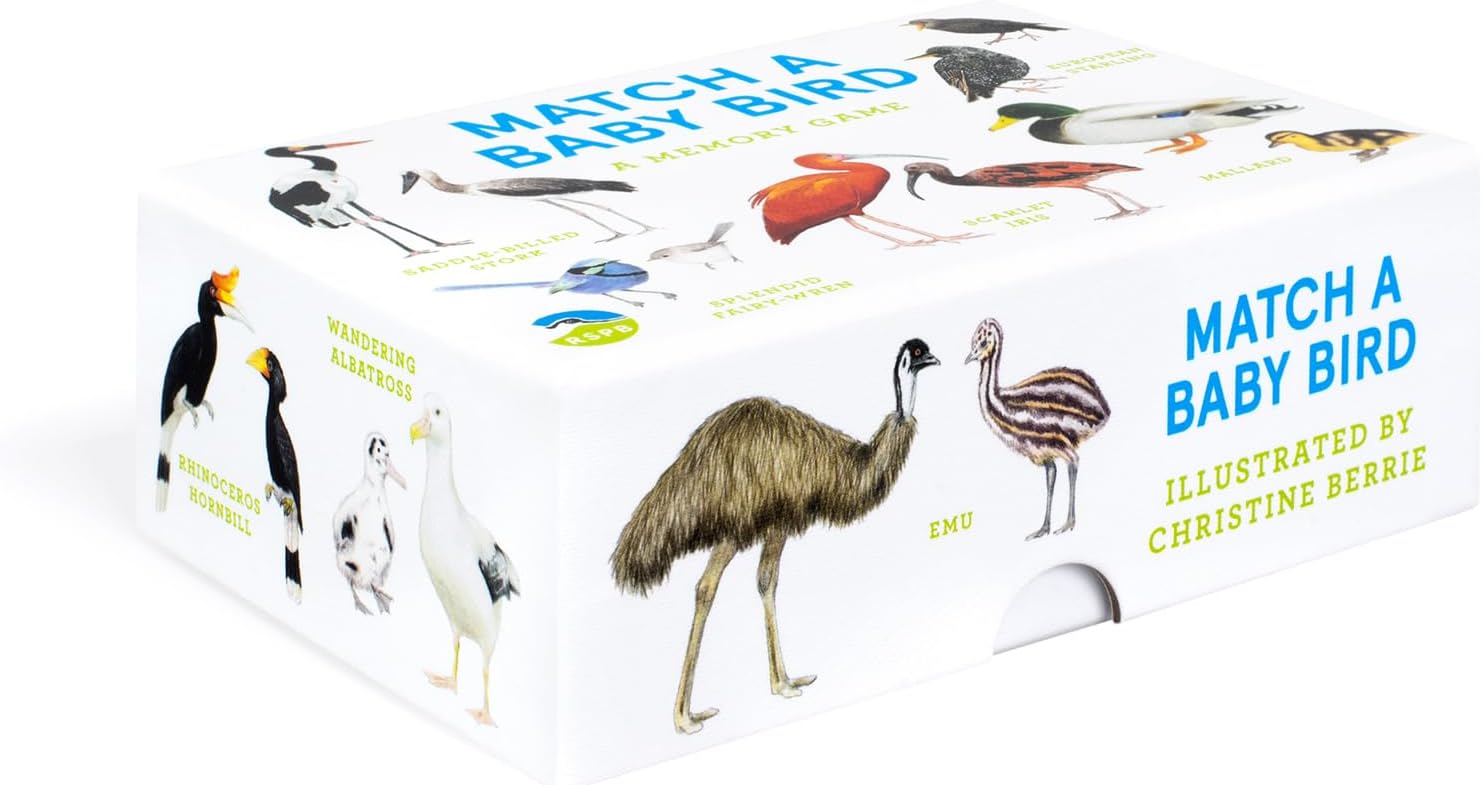 Baby Bird Match Memory Game