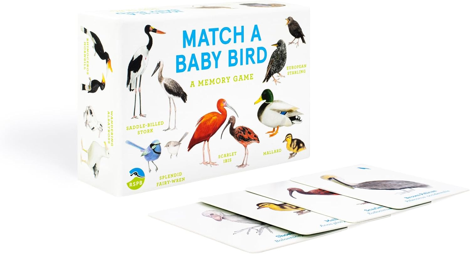 Baby Bird Match Memory Game