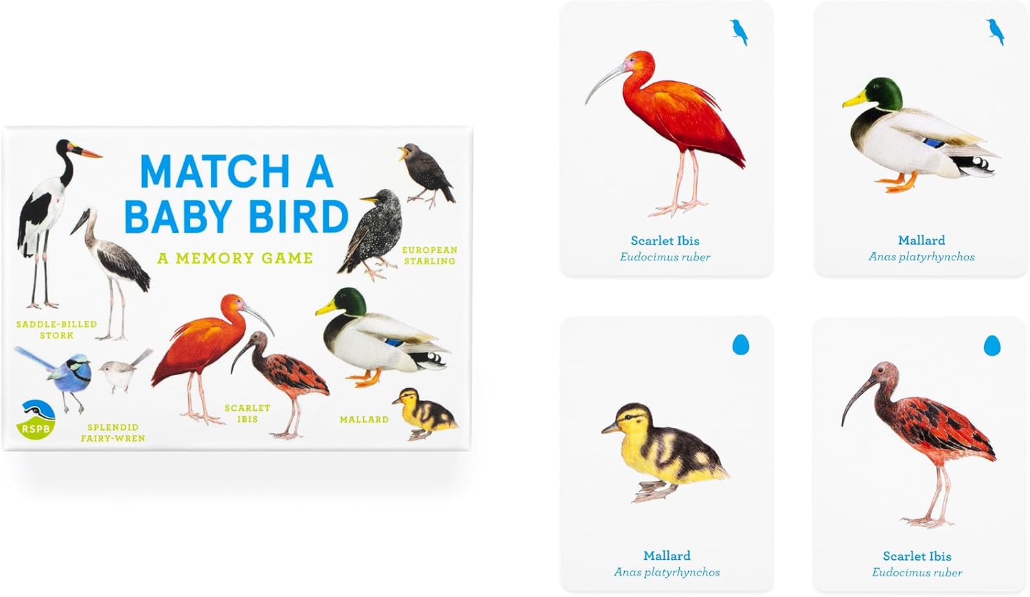 Baby Bird Match Memory Game