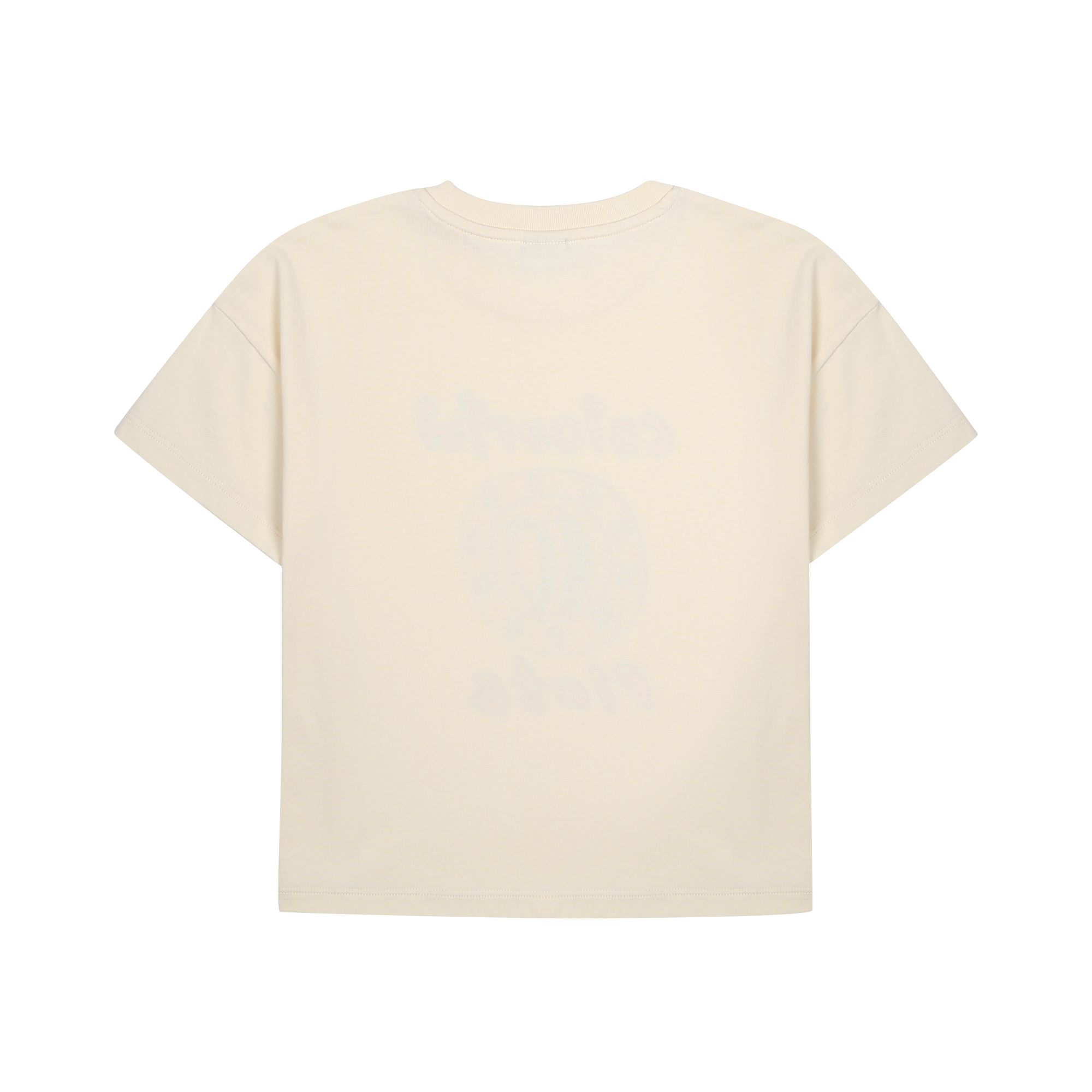 Colourful Plate T-shirt