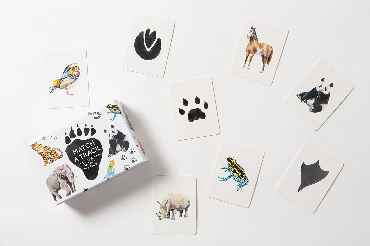 Animals to Their Paw Prints Match Memory Game
