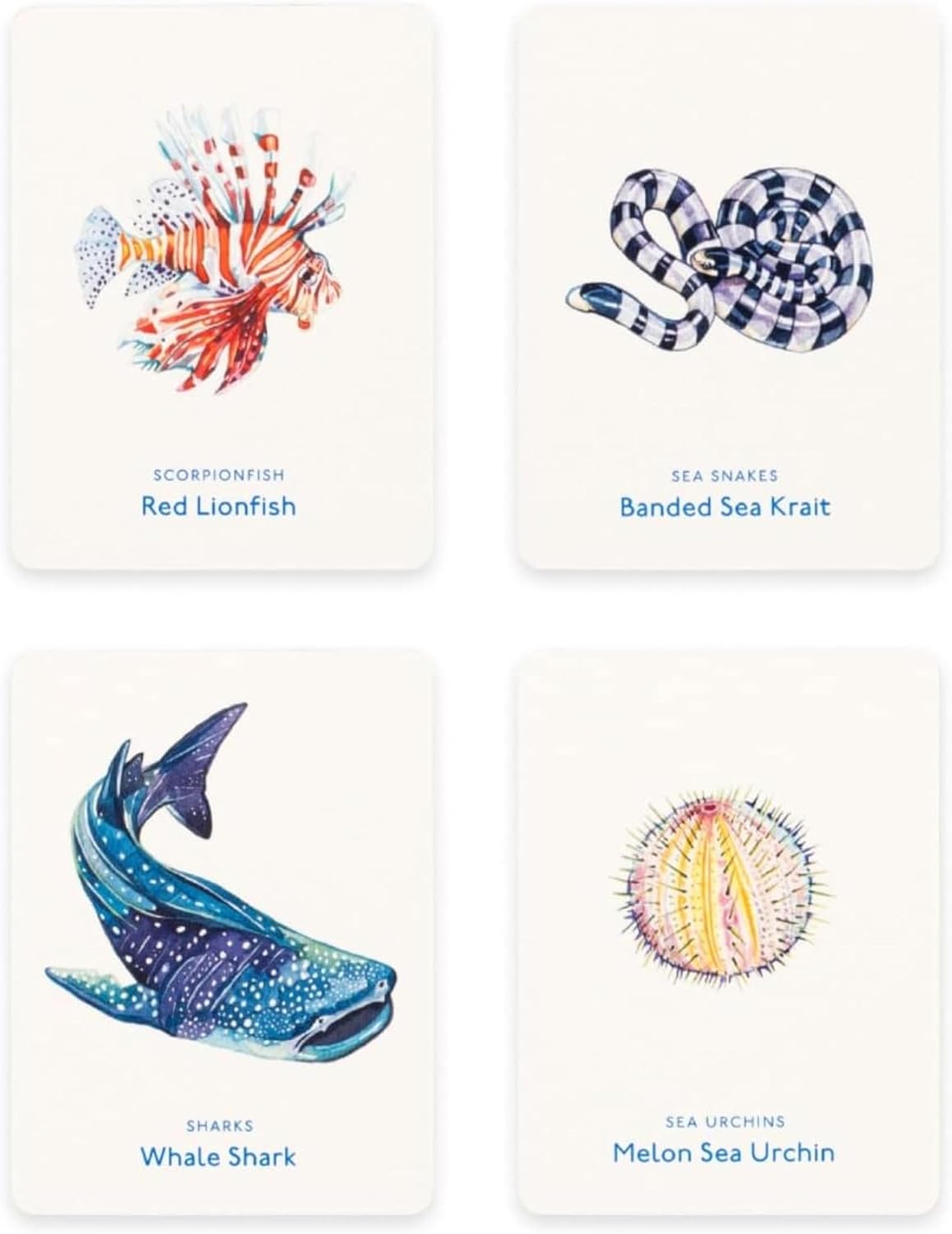 Under the Sea Ocean Memory Game