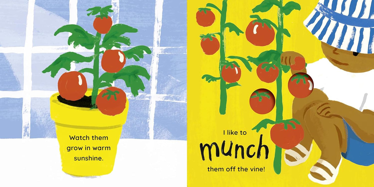 Tomato, Tomato, Tomato! Book