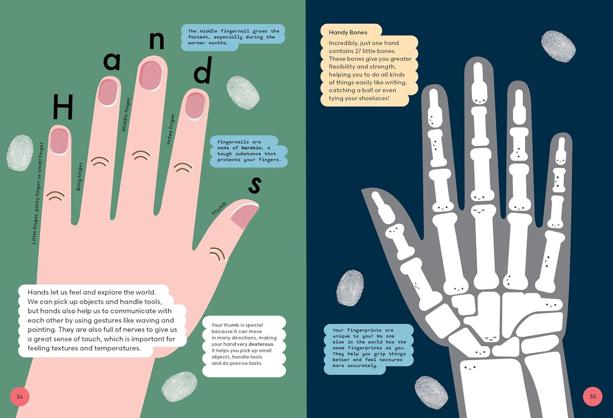 Head to Toe: An Introduction to the Human Body