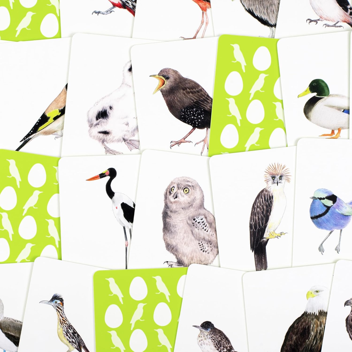 Baby Bird Match Memory Game