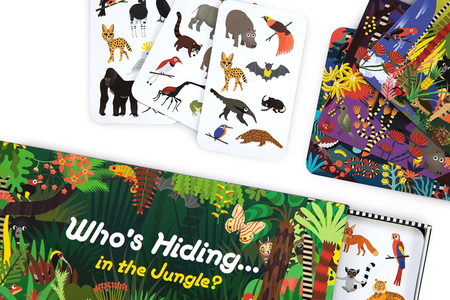 Who's Hiding in the Jungle? Seek and Find Game