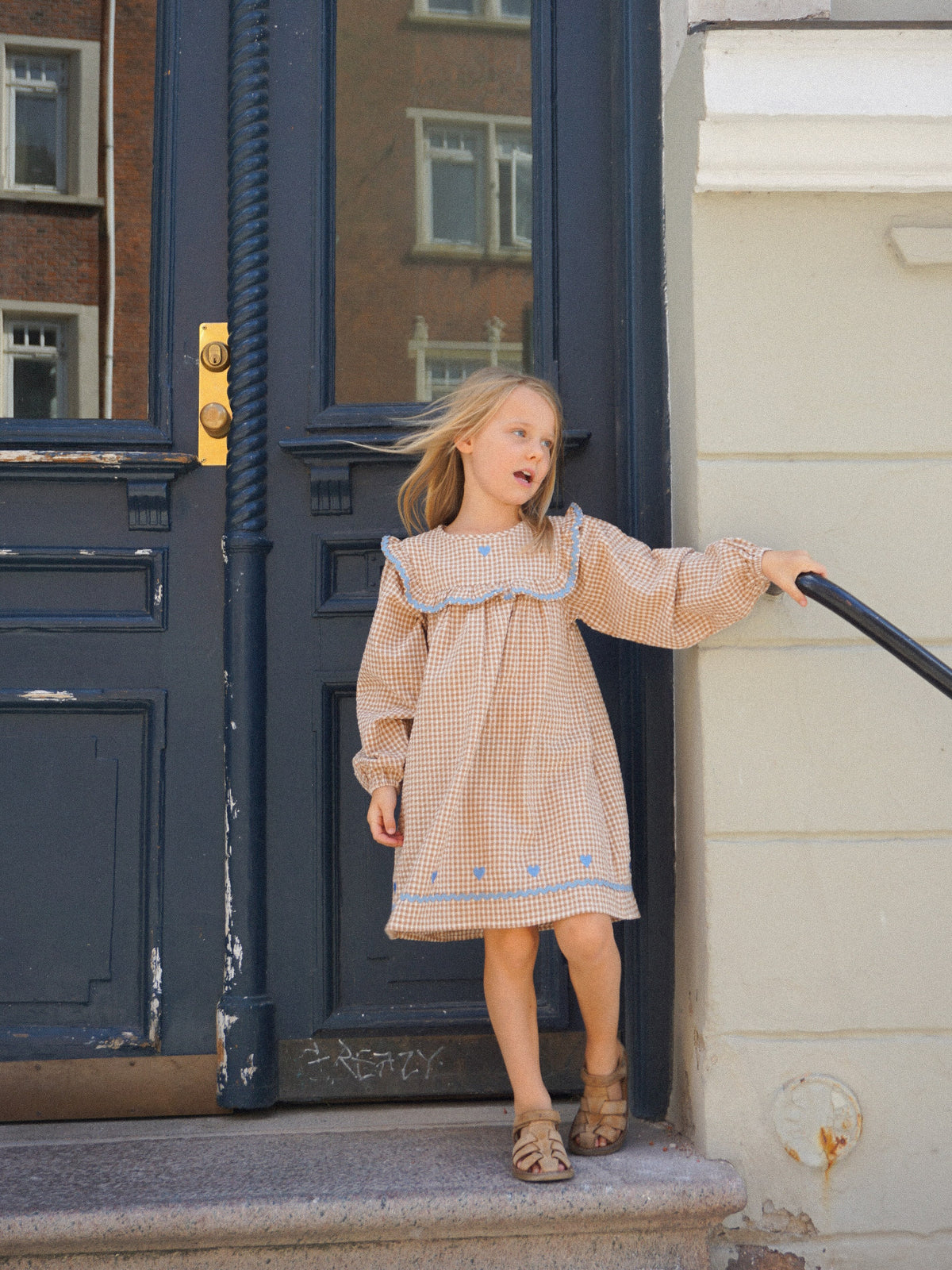 Ellis Dress Coffee (only size 4y)