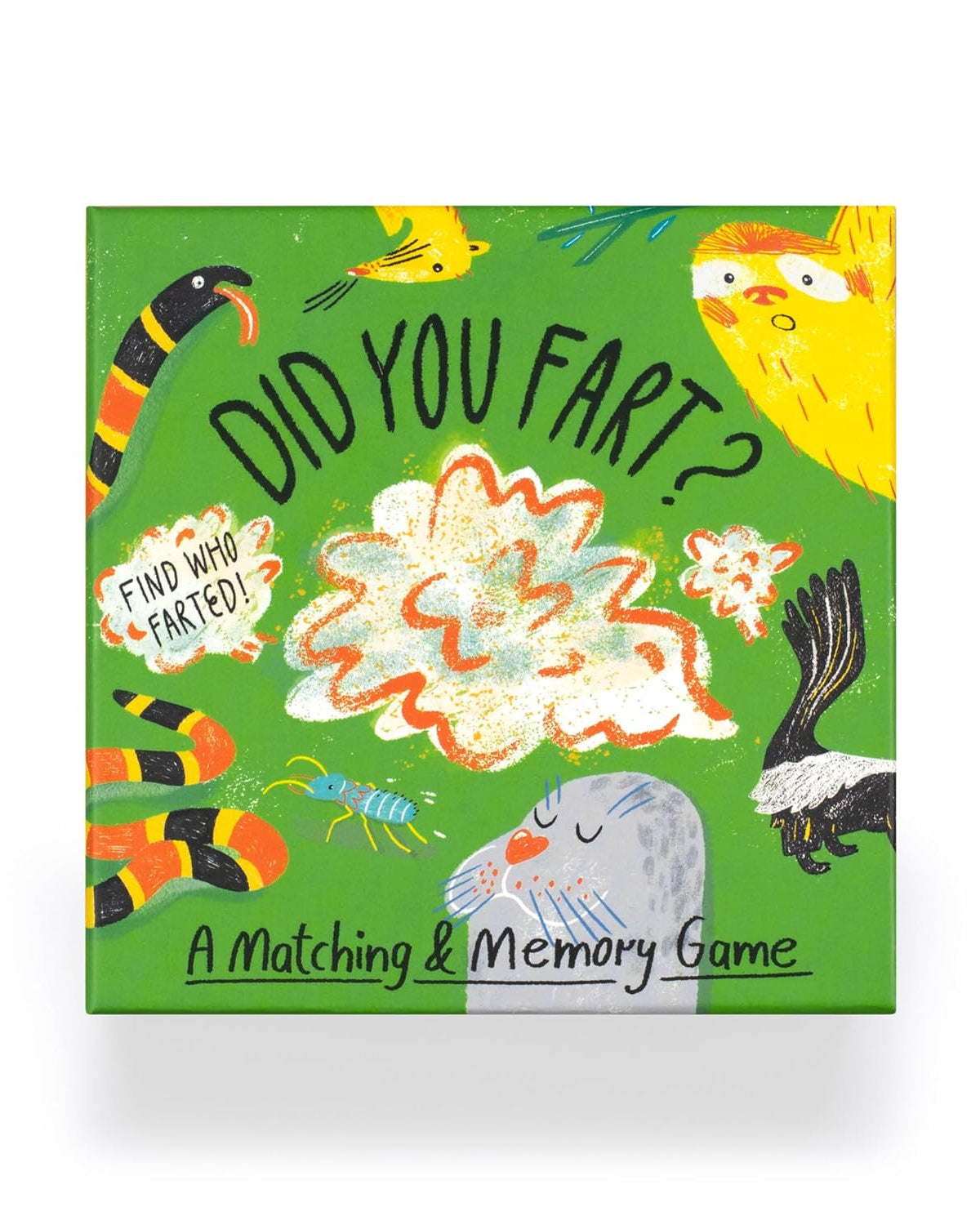 Did You Fart? Matching Game