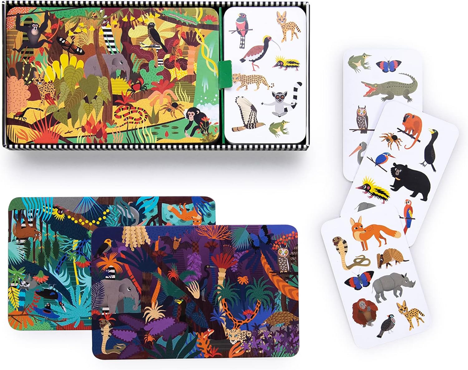 Who's Hiding in the Jungle? Seek and Find Game