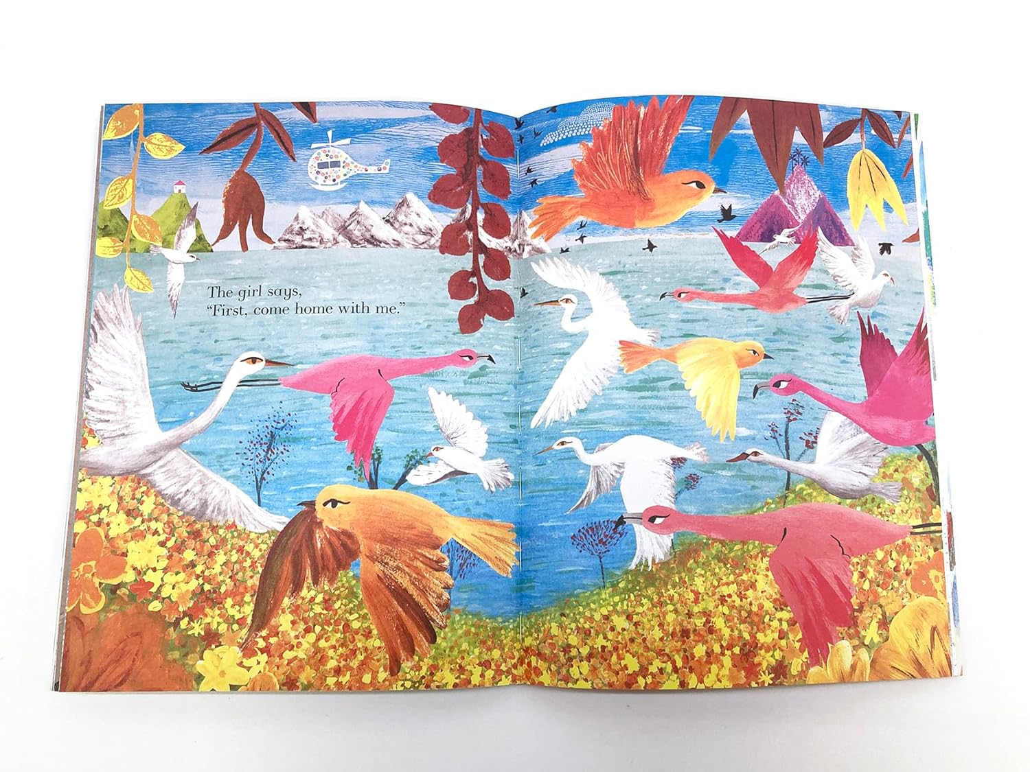 Colours, Colours Everywhere Lift-the-Flap Book
