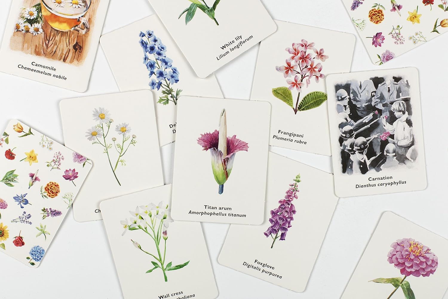 Pick a Flower Match Memory Game