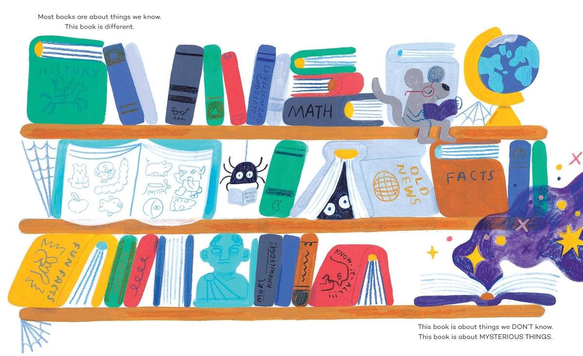 Mysterious Things Book