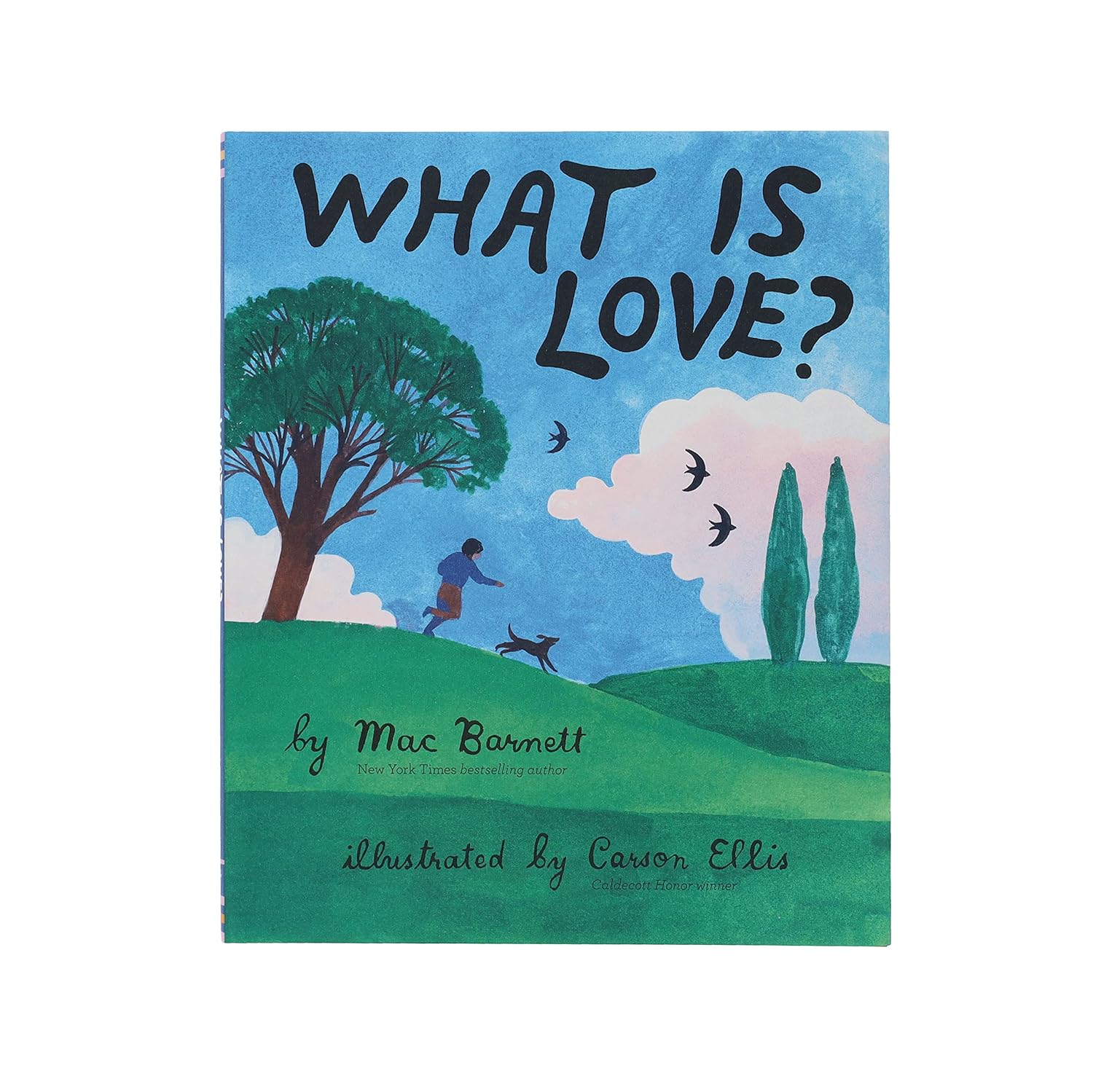 What is Love? Book