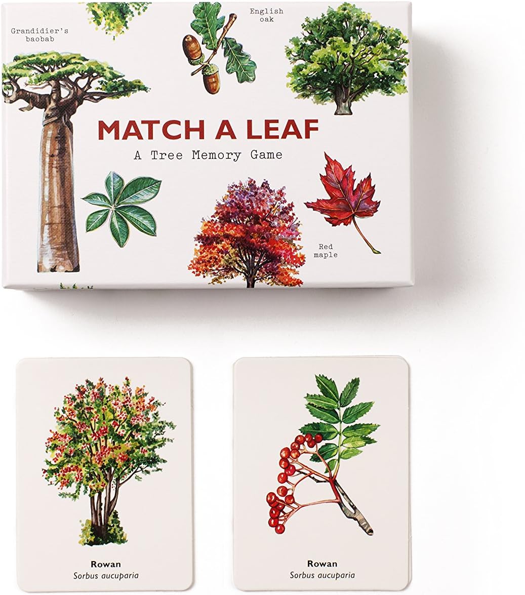 Leaf and Tree Match Memory Game