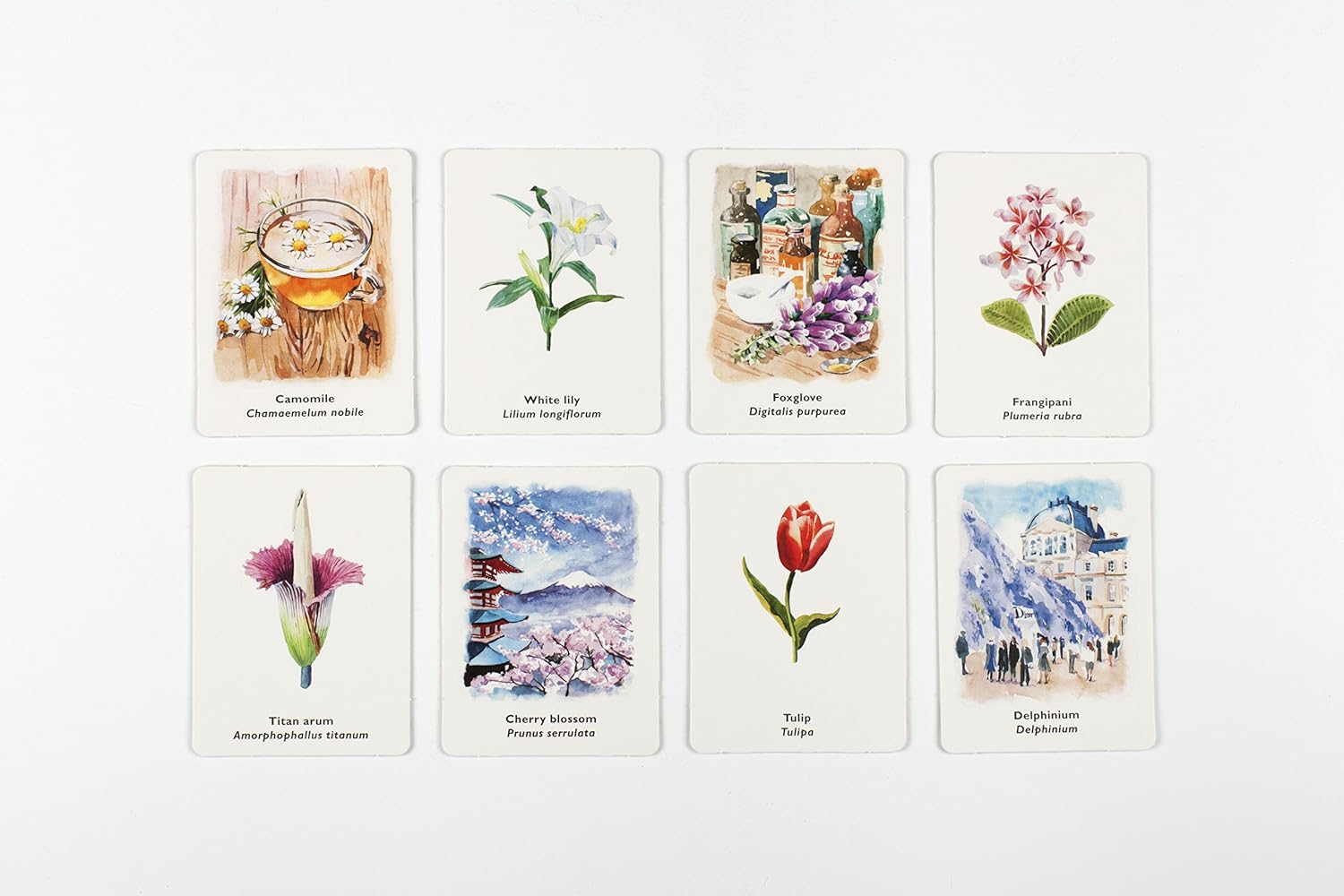 Pick a Flower Match Memory Game