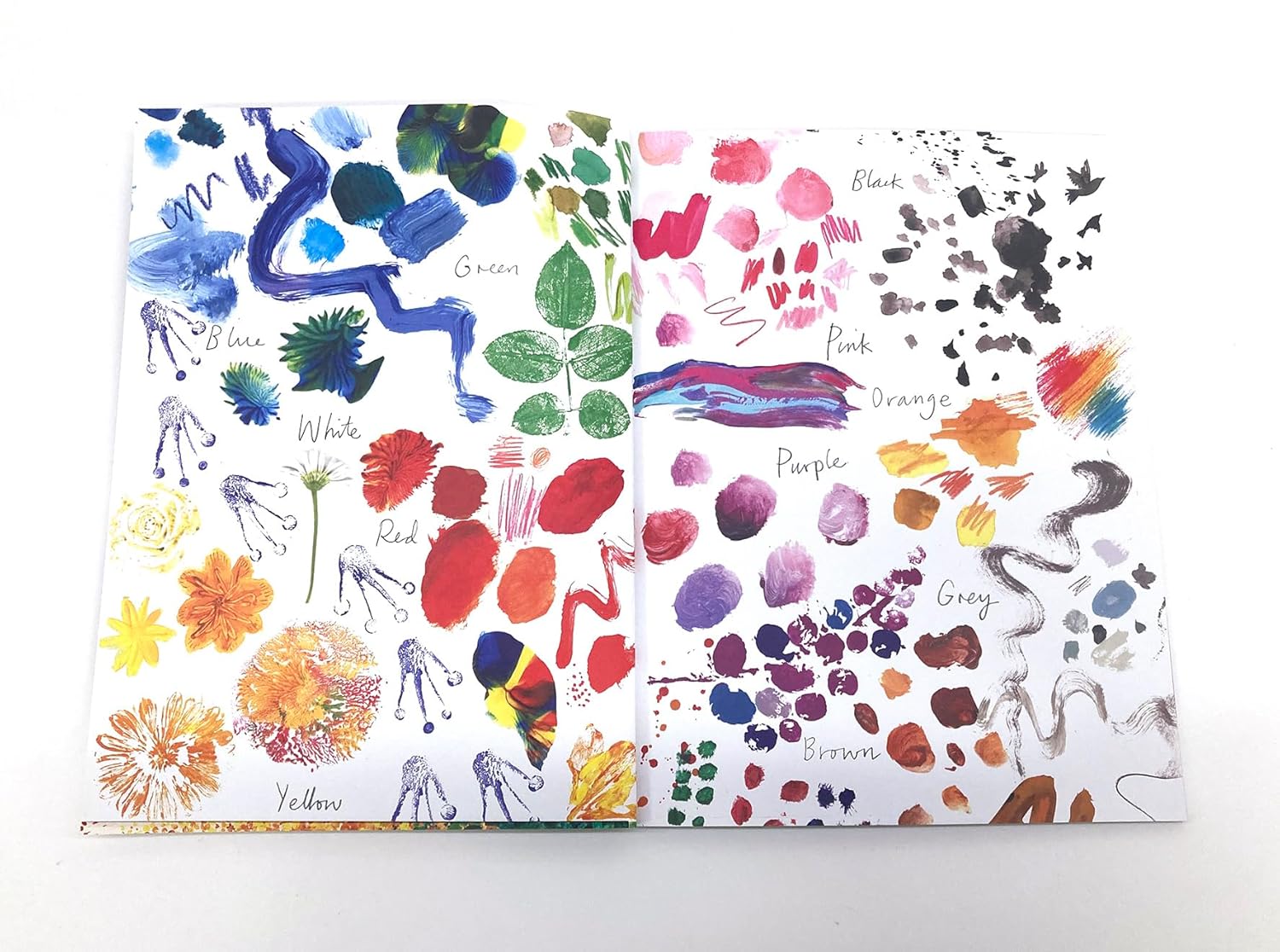 Colours, Colours Everywhere Lift-the-Flap Book