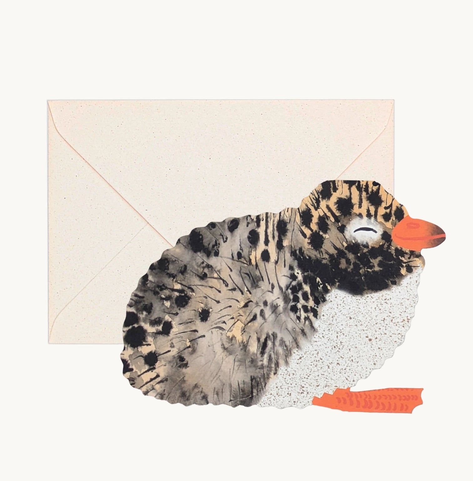 Arctic Tern Chick Card