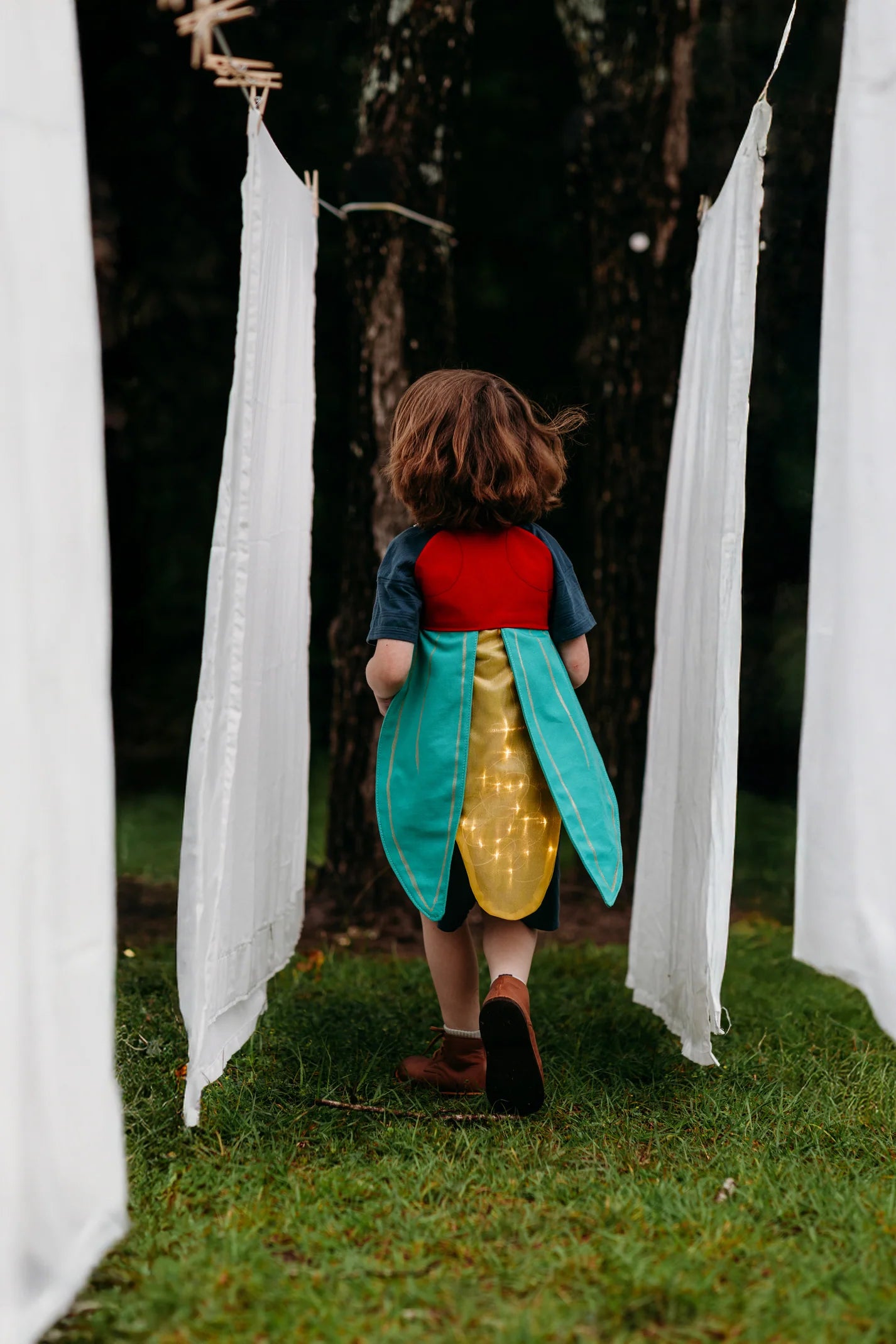 Firefly Costume Wings image 1