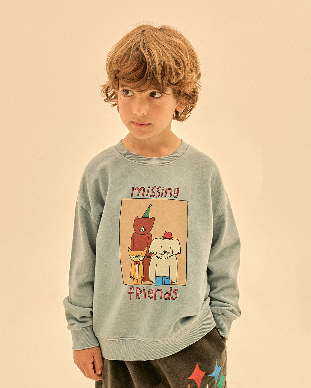 Animal friends Sweatshirt image 1