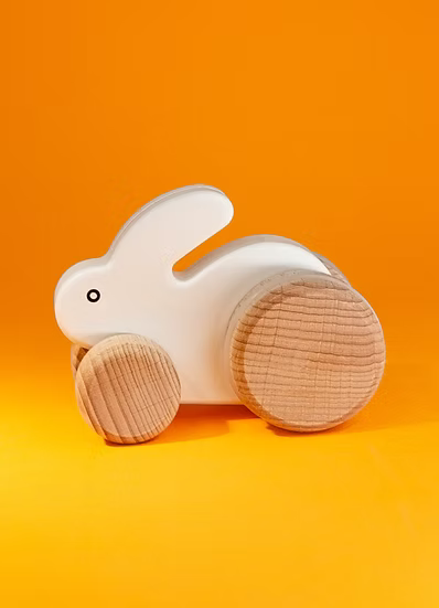 Wooden White Push Bunny