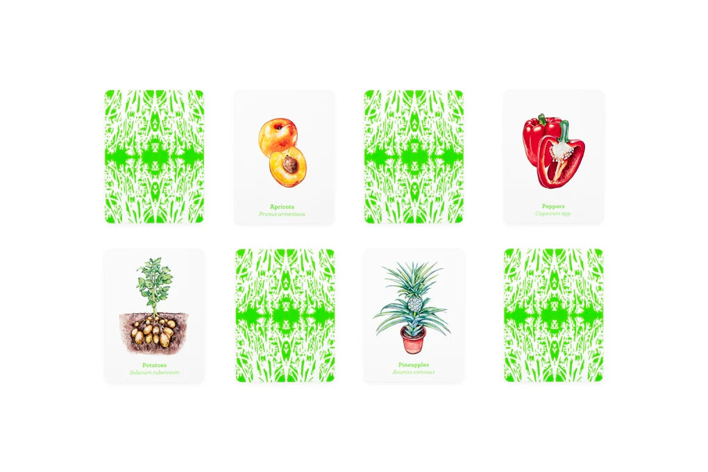 Gardener's Match Fruit and Vegetable Memory Game