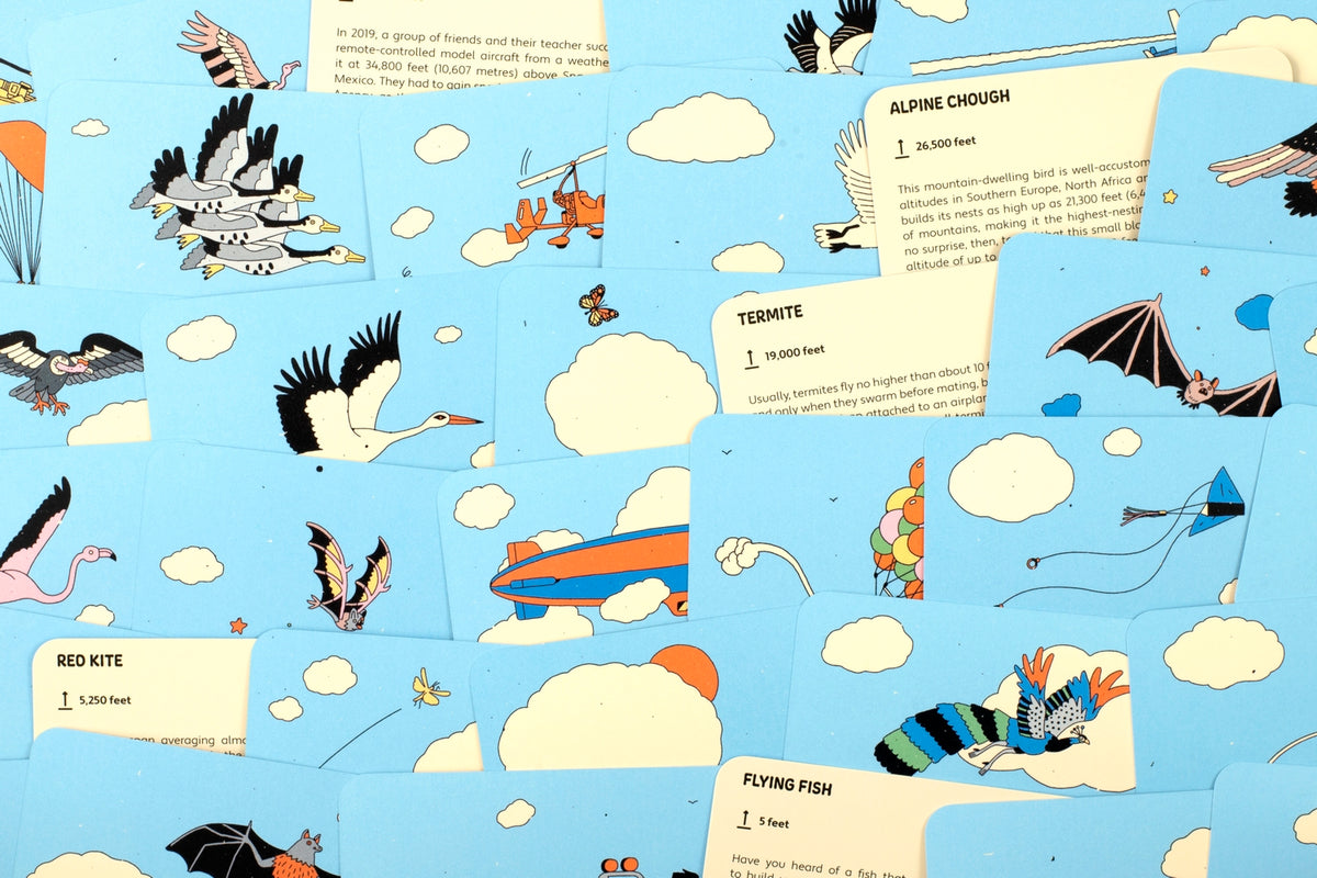 Height of Flight Guessing Game