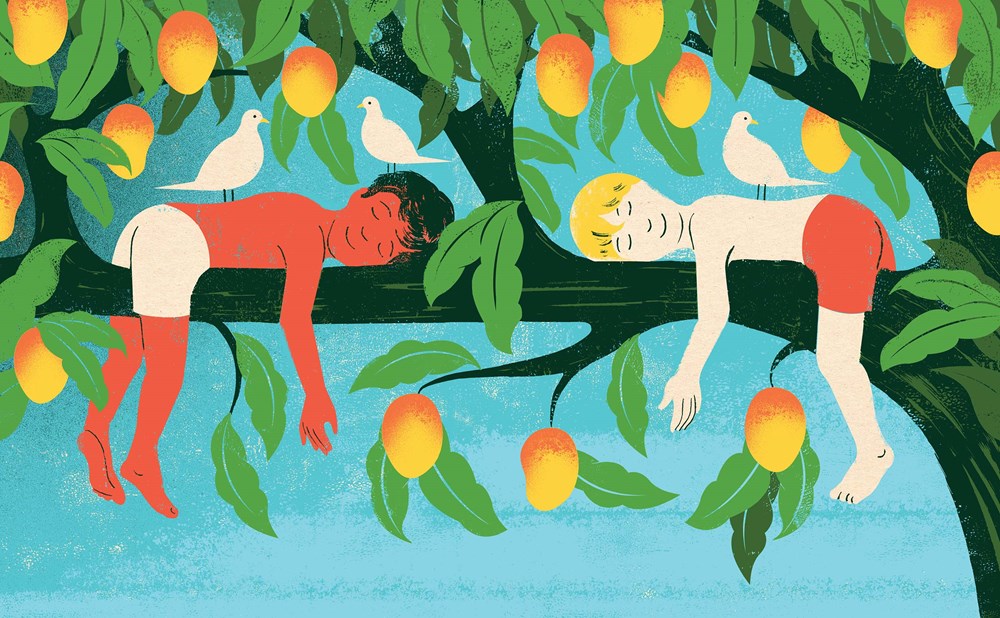 The Mango Tree (La mata de mango)
