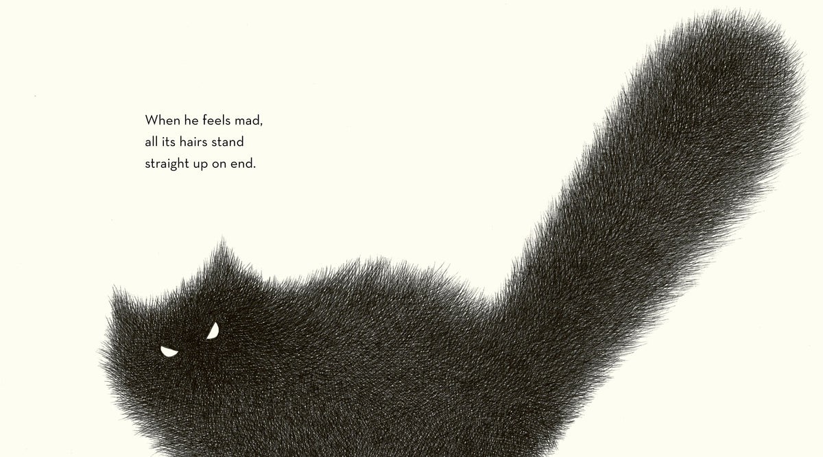 Shibu's Tail Book