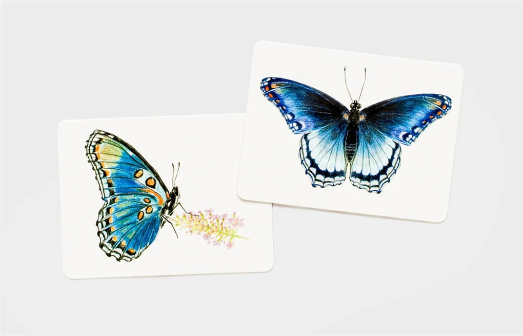 Butterfly Wings Match Memory Game