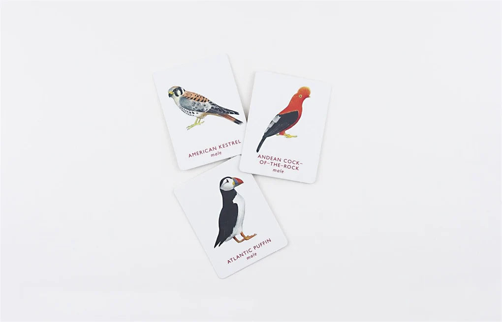 Match a Pair of Birds Memory Game