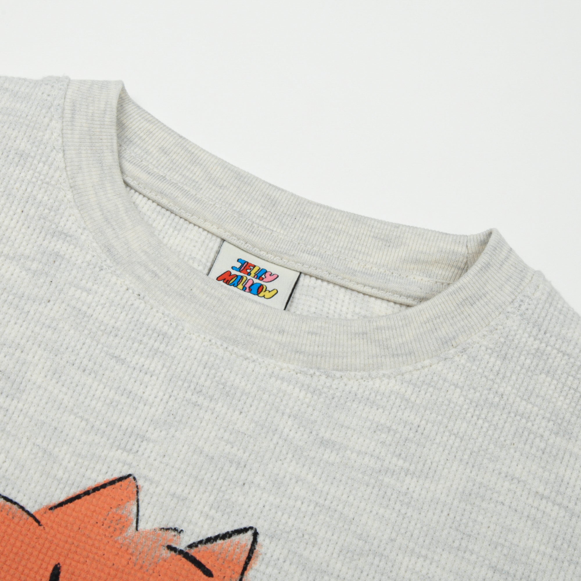 Cat Waffle Long sleeve T-shirt